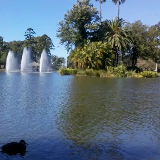 Web Design Glenroy 3046