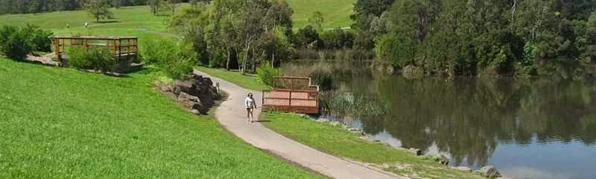 Web Design Westmeadows 3049